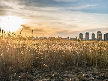 Zdjęcie kierunku: Bukareszt